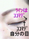 DCIM0649.jpg