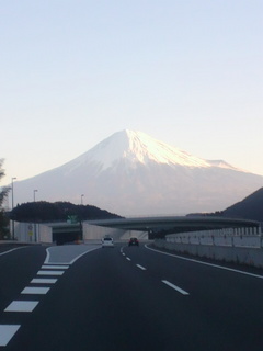 DCIM1270.jpg