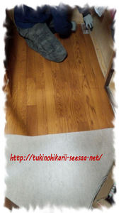 IMG_20130417_090352.jpg