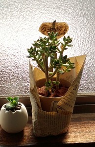 IMG_20130430_075449-1.jpg
