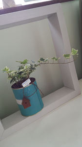 IMG_20130430_094839.jpg