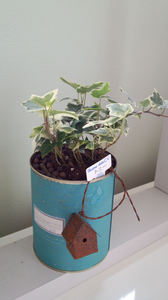 IMG_20130430_094906.jpg