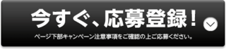 uniqlo_entry.png